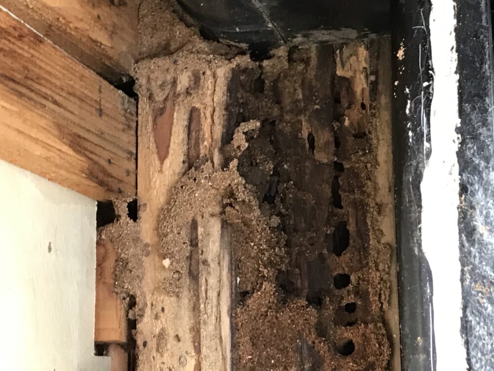 菊川市　雨漏り修繕工事/雨漏りと白蟻はお家の天敵です！！